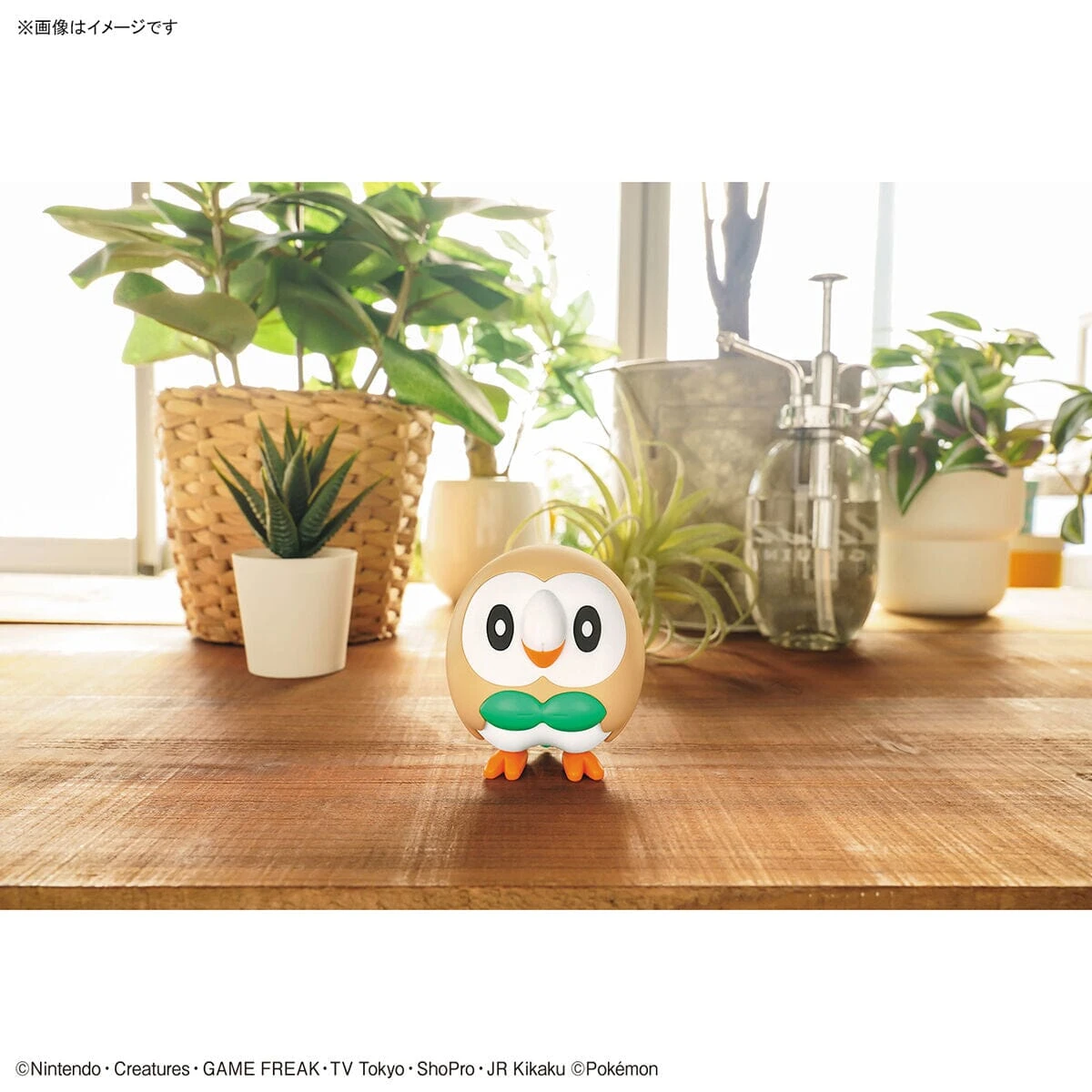 Bandai Pokemon Rowlet 10 Quick Model Kit 6 Bandai Pokemon Rowlet 10 Quick Model Kit - Image 6