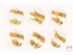 Kotobukiya Sousai Shoujo Teien Touou High School Winter Clothes Madoka Yuki 1/10 Scale Model Kit -Model Figures Store 419716ea a12c 4d35 8e8e d572eee3add7